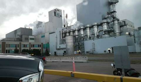 International Paper And Pulp